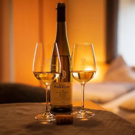 Weingut Peter Barzen Guest house 3*